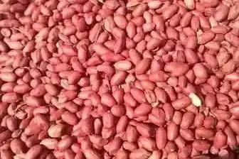 A heap of shelled red-skinned groundnuts. Low resolution source.